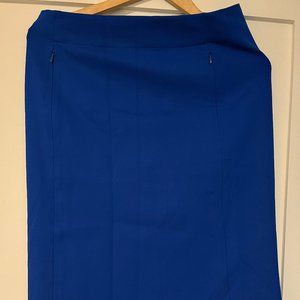 DVF Blue Skirt Sz 10